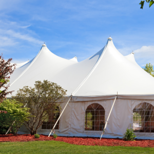 photo 1681843008 big Tents