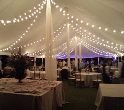Bistro String Lights (Globe Style)