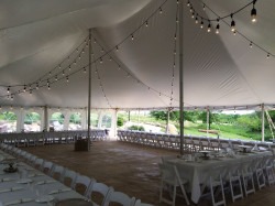 Bistro String Lights (Edison Style)