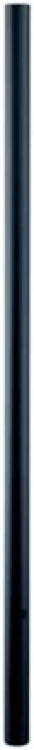 Black Pipe String Light Pole